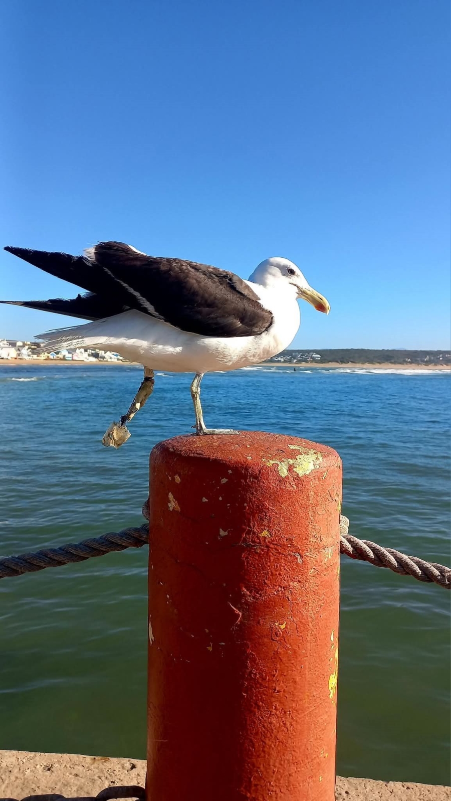 0 Bedroom Property for Sale in Stilbaai Oos Western Cape